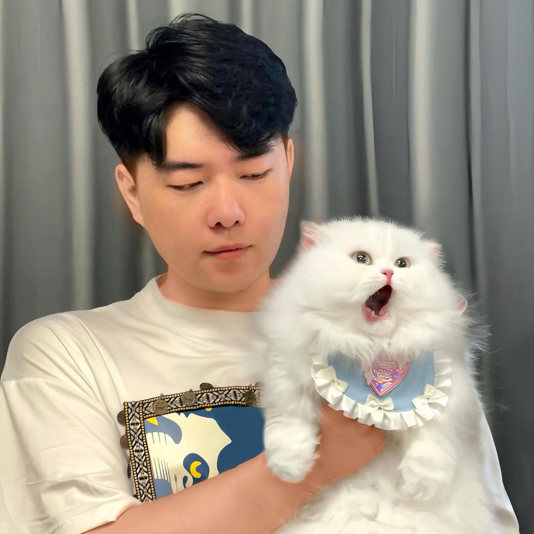 刘淑芬猫饭（在主页）