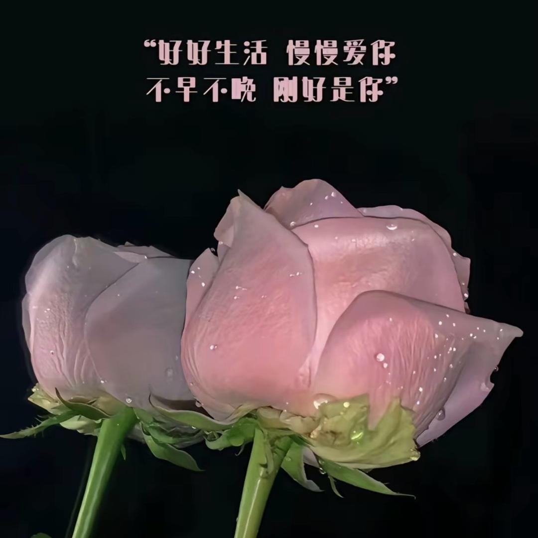 点 点