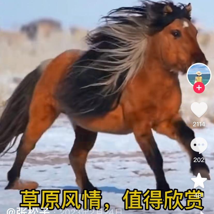 忙忙碌碌万事如意