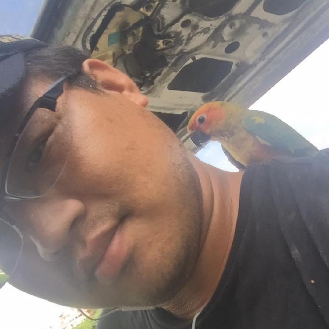 热爱旅游、轻松生活