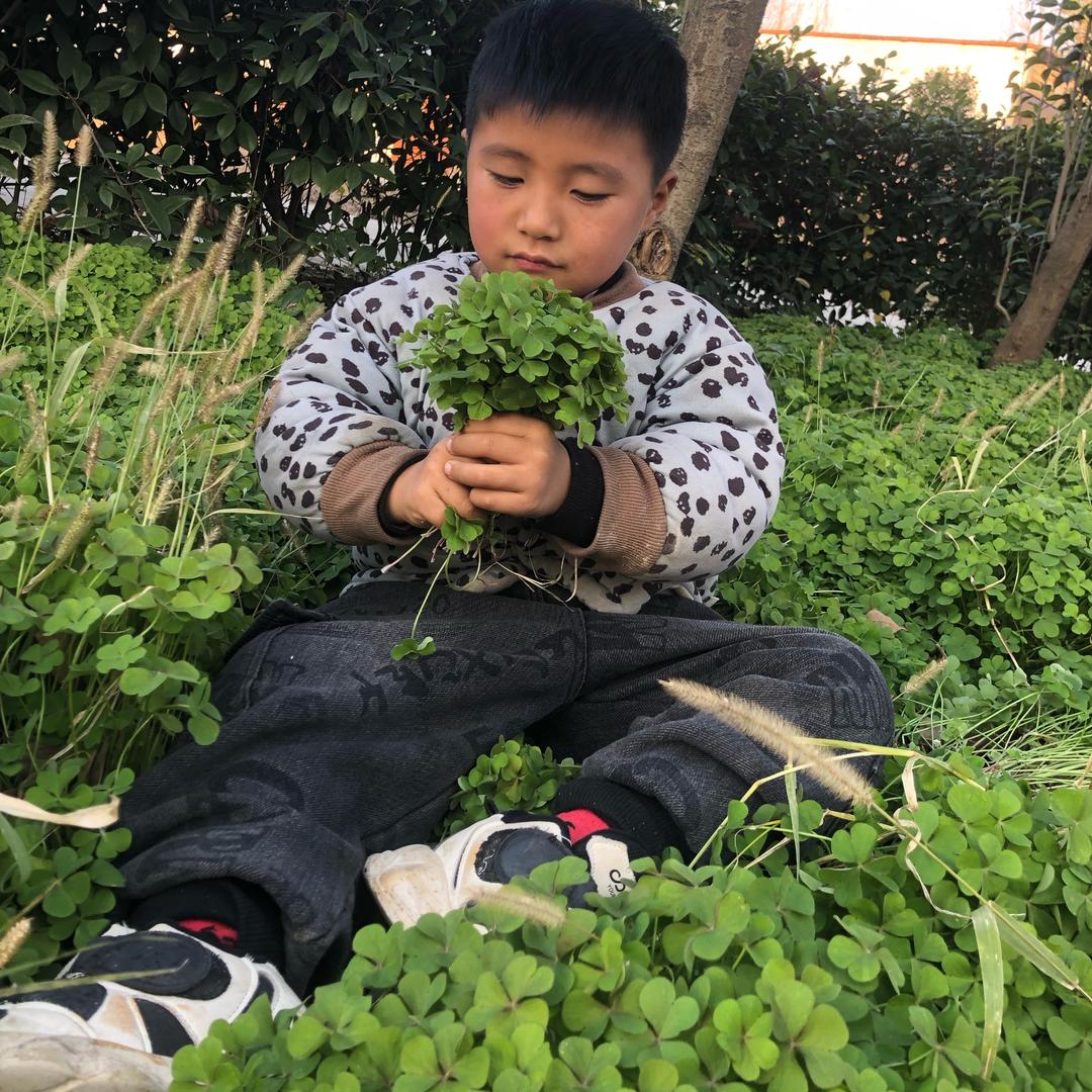 小鱼烤、煎、炸货铺