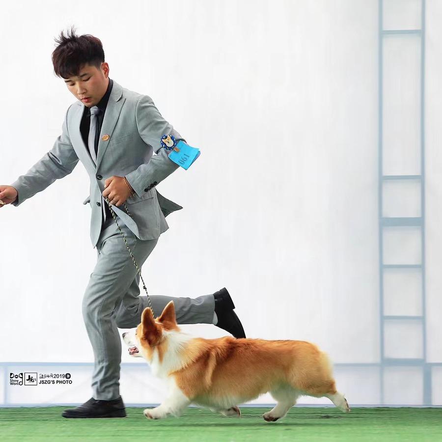 My DOG