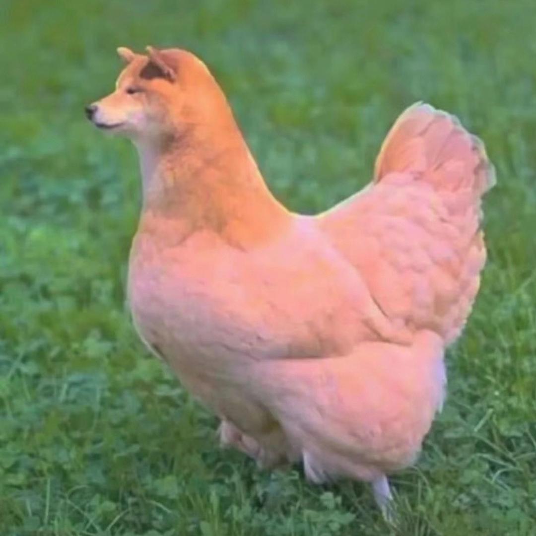 一个怪人