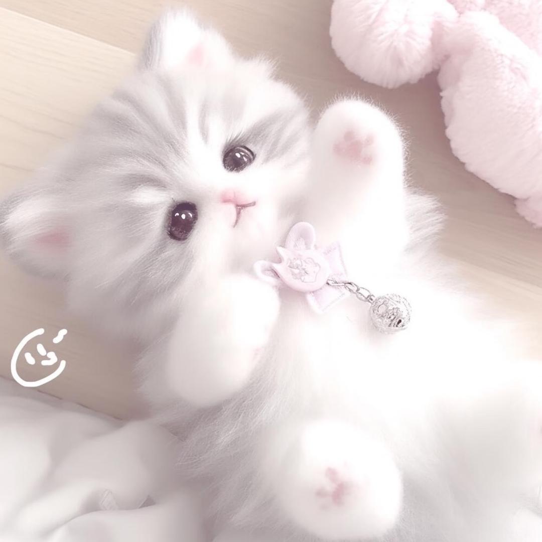 棉袄棉袄棉袄