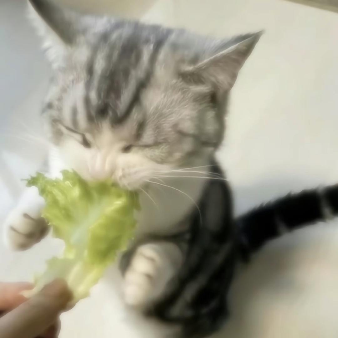 手写蒲公英