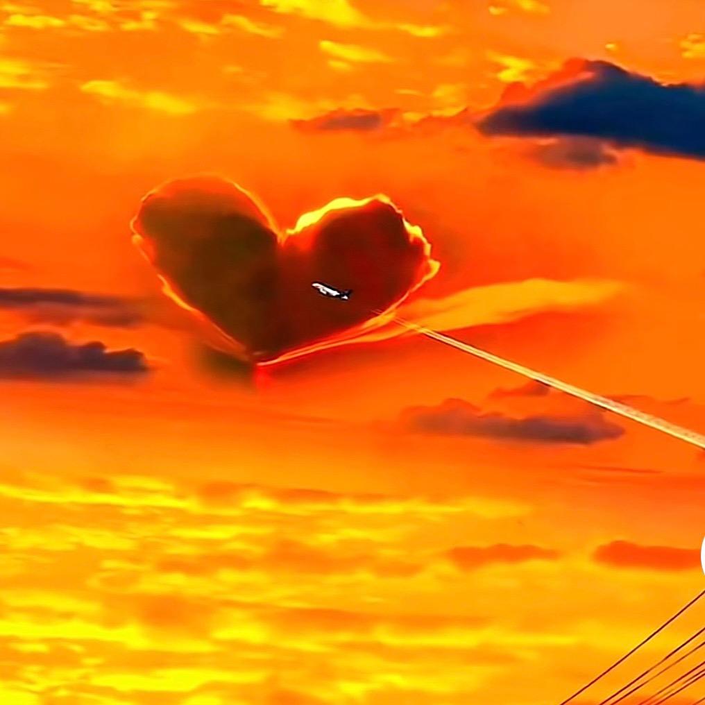 清风 (橱窗好物）