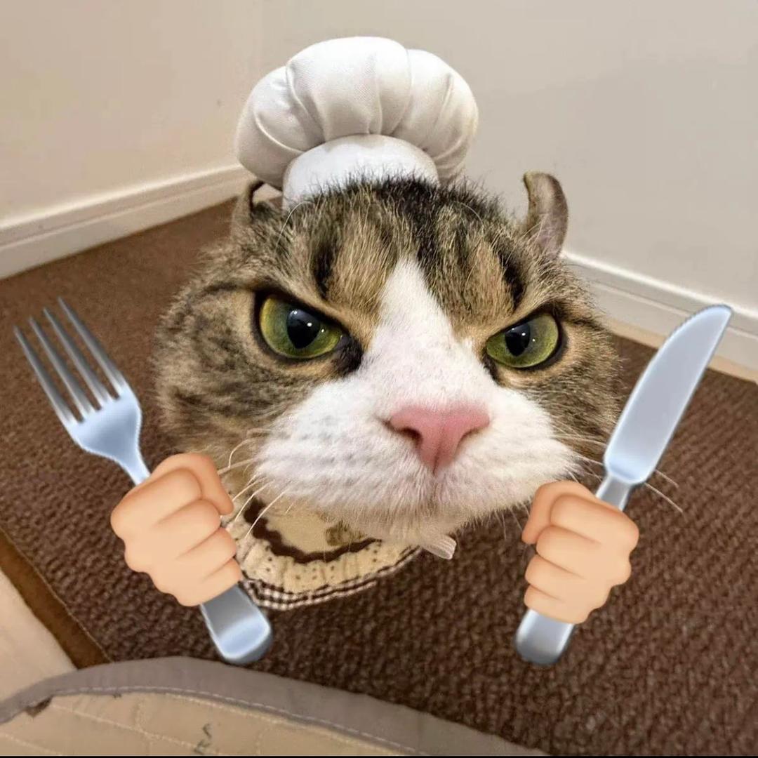 摆烂小猫