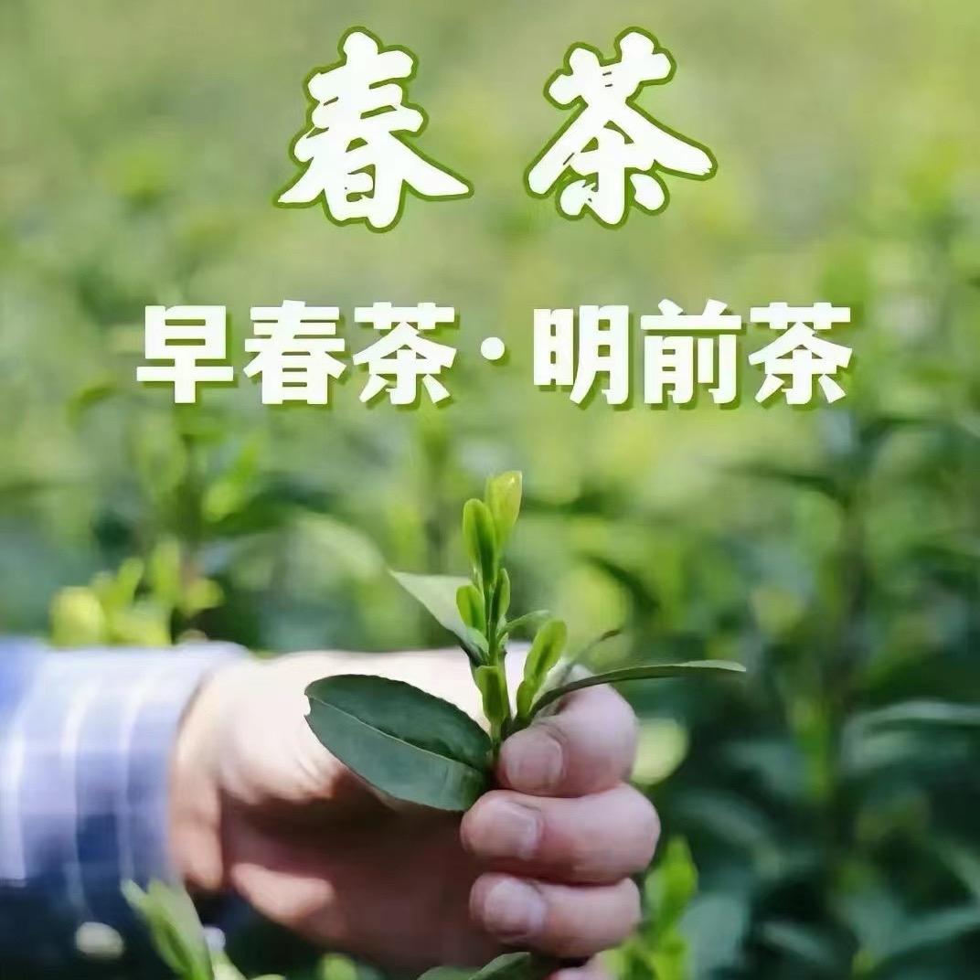 钢管厂客满堂老彭