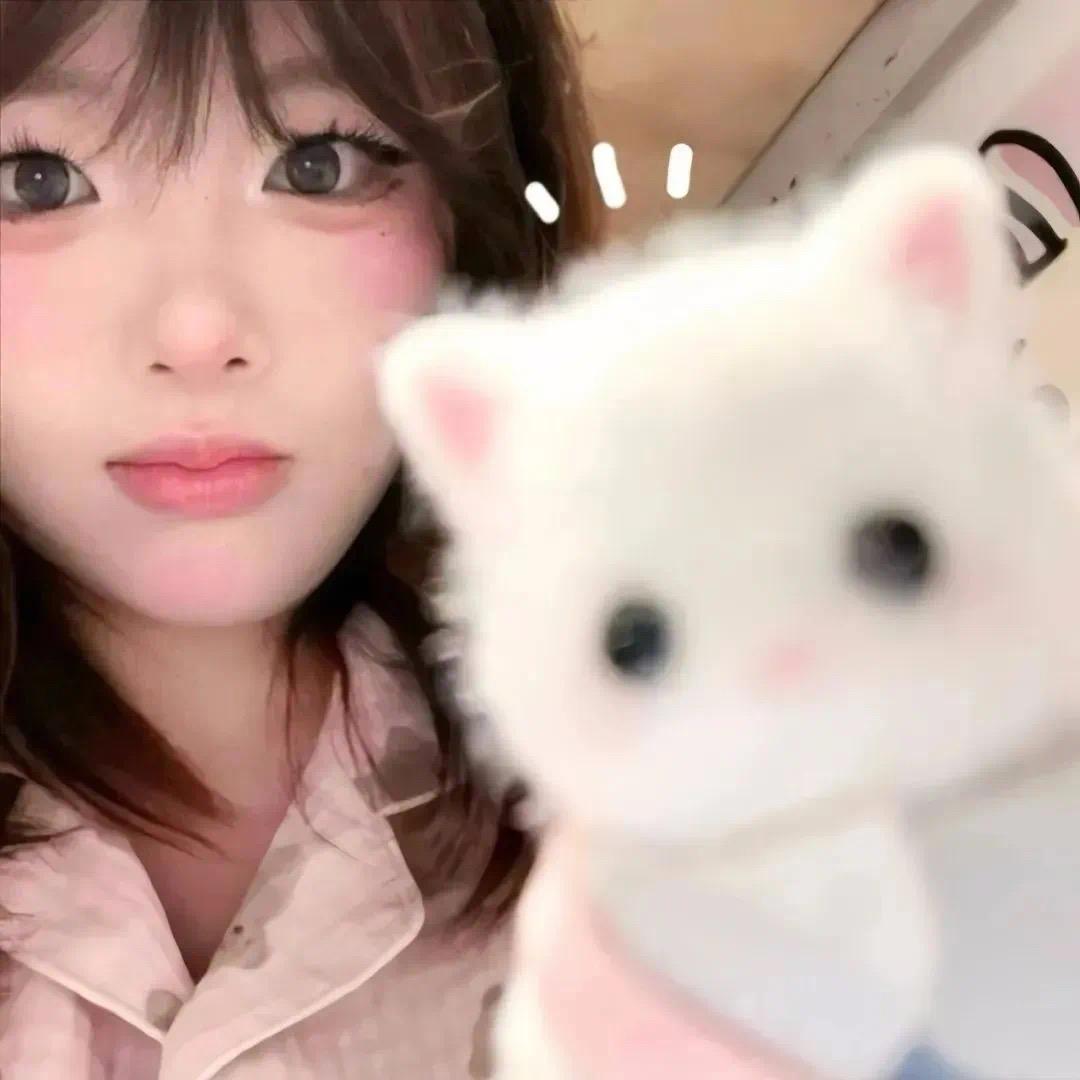 哲哲酱