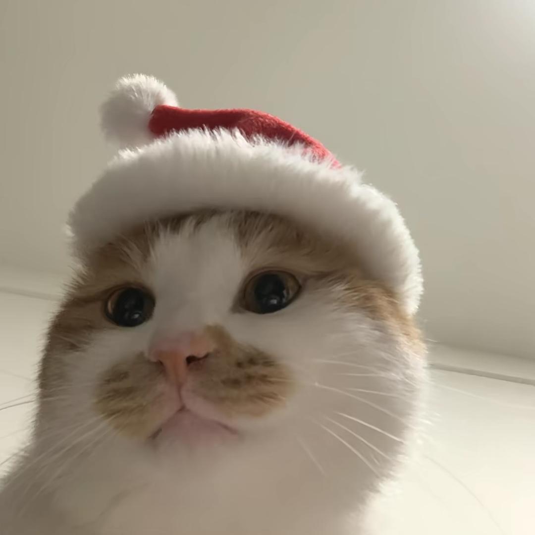 颖咪