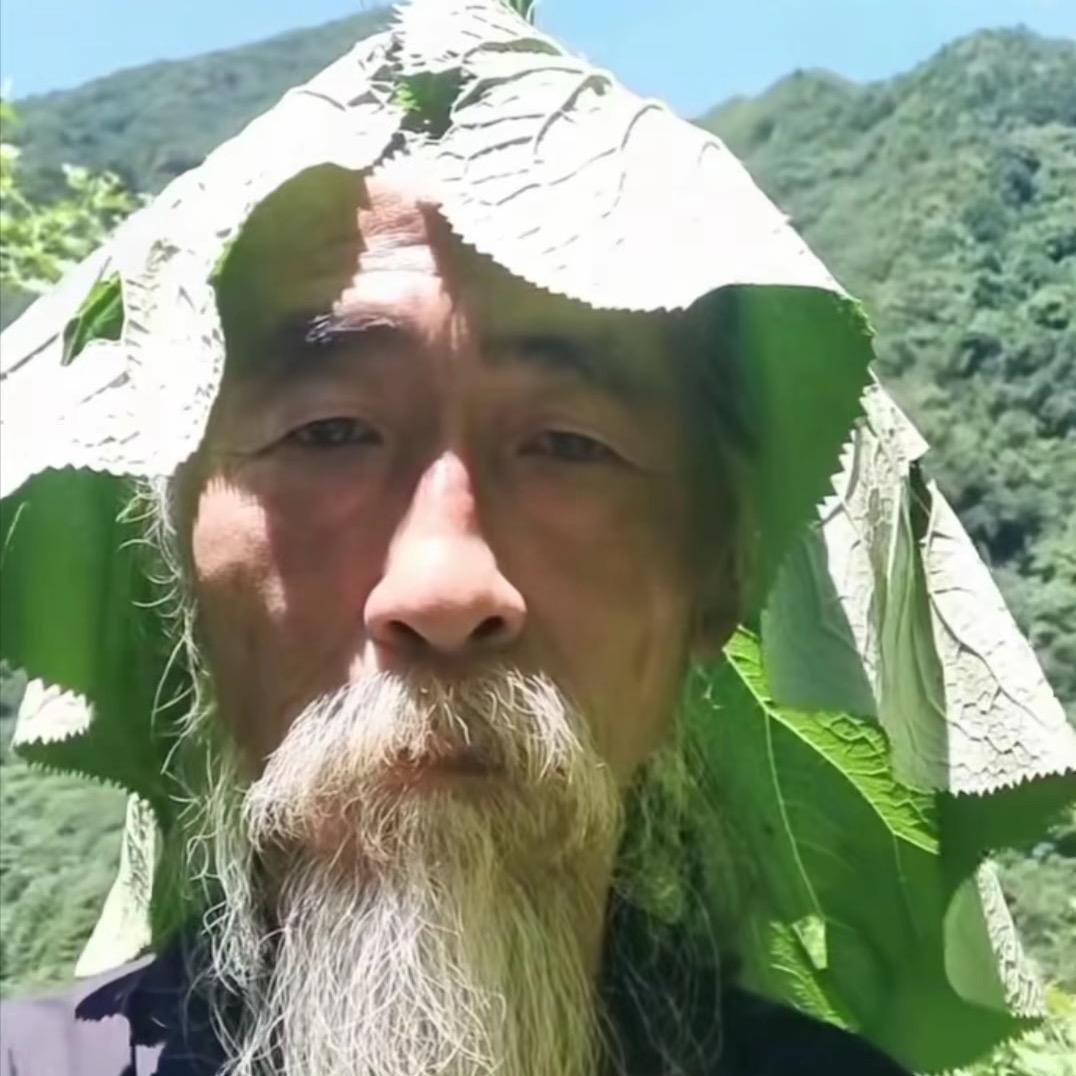 梨花诗