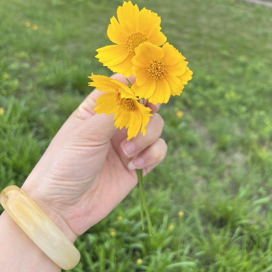 💗兜兜有糖🍬🍬