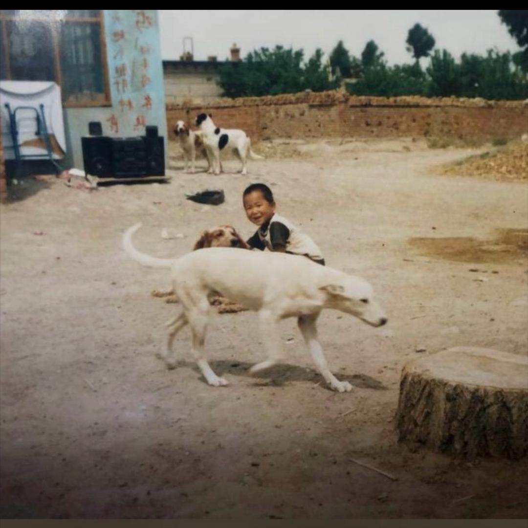 潘宏爱玩儿狗录屏号