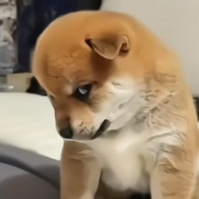 海