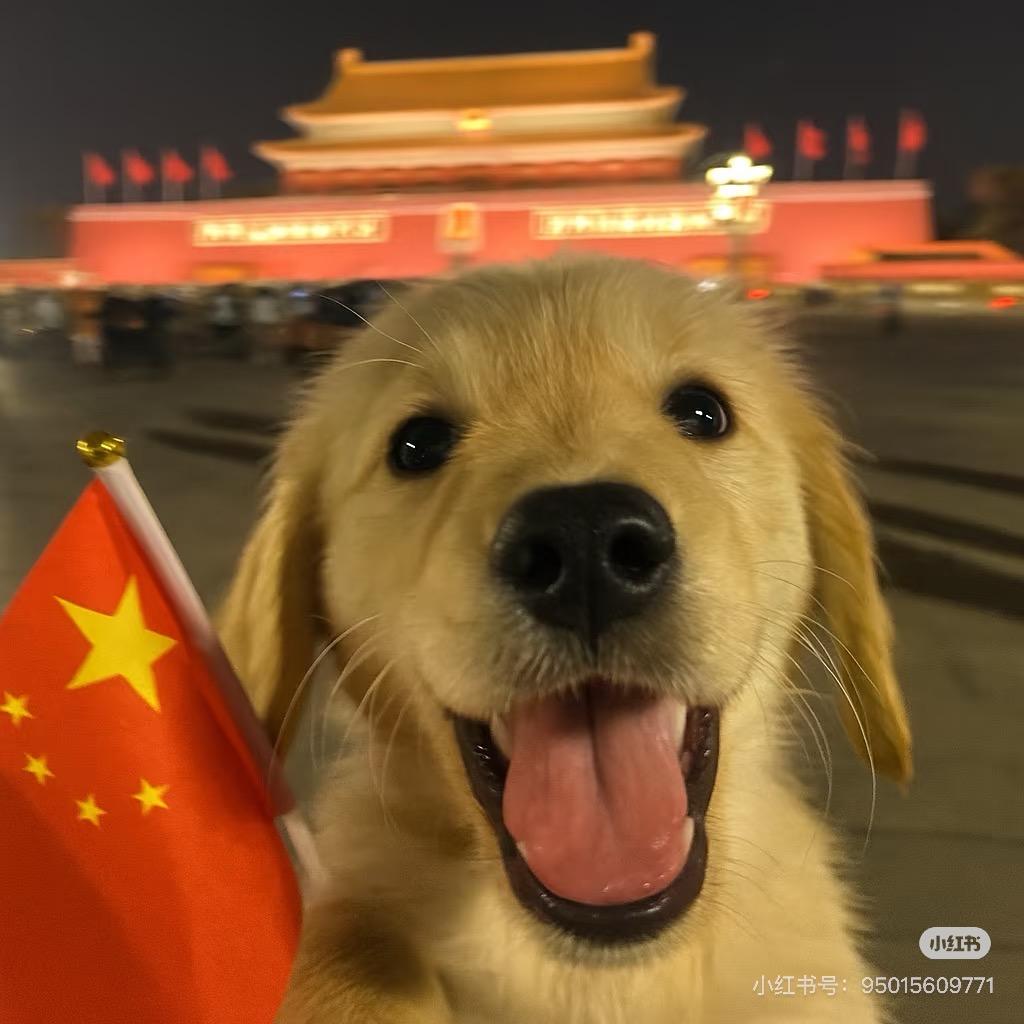 发财犬舍