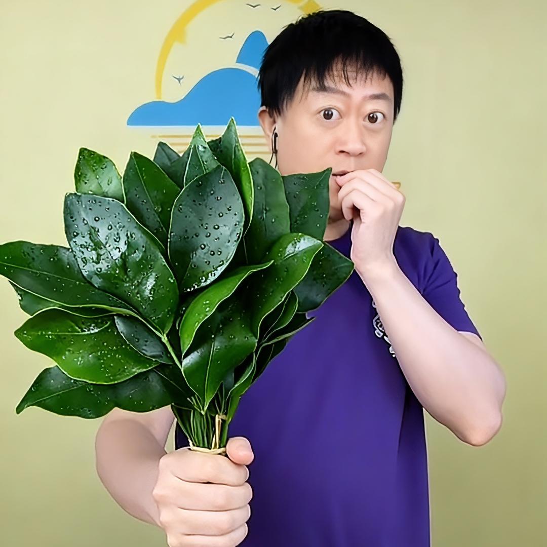 ✨远方金玉满堂✨