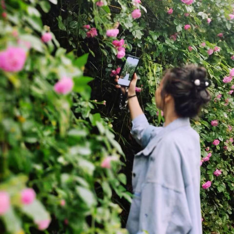 【遇见·茶山】小院胡鑫