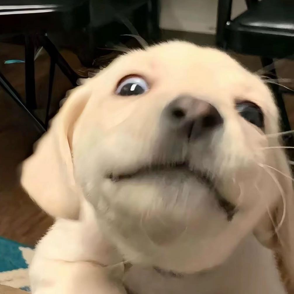 不想失眠