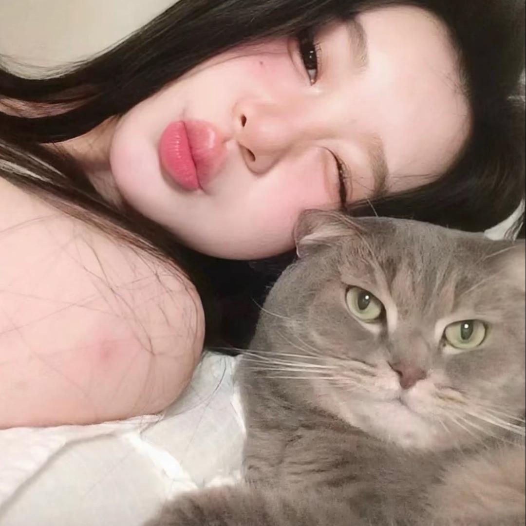 ㅤㅤ ㅤㅤㅤㅤ ㅤㅤ