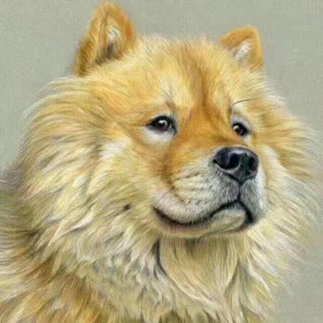 小马哥土猎1048631456