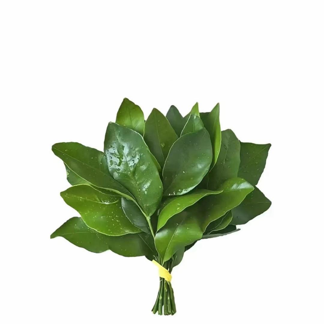 yY