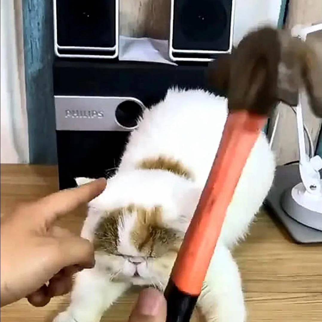 海中人🇨🇳