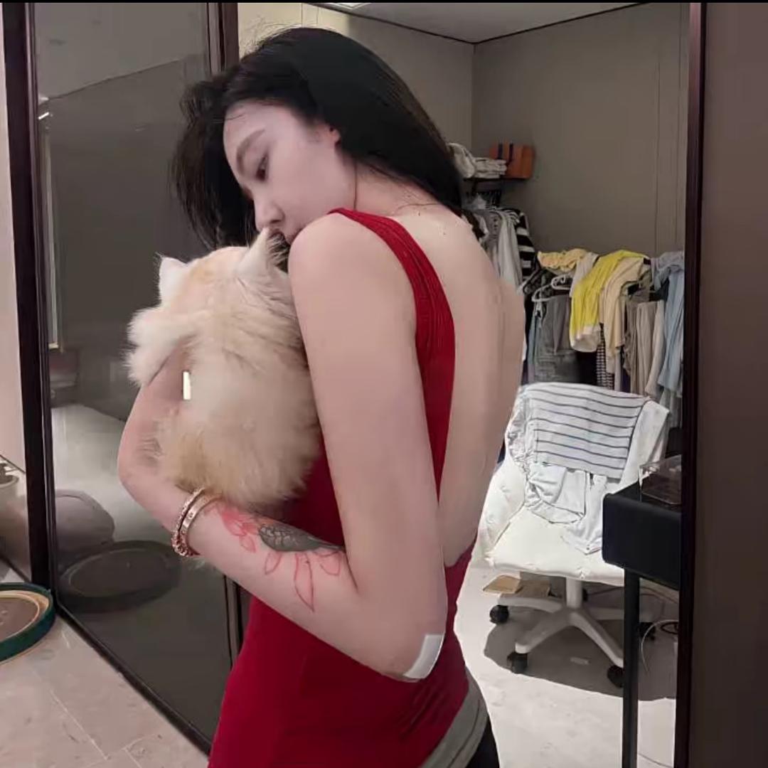 不吃大饼🕶️