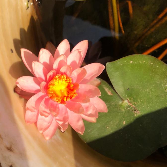 高个子！！！！！