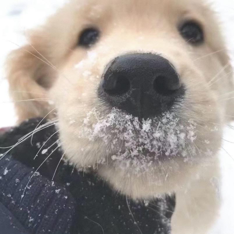 .骨头（秒回版）