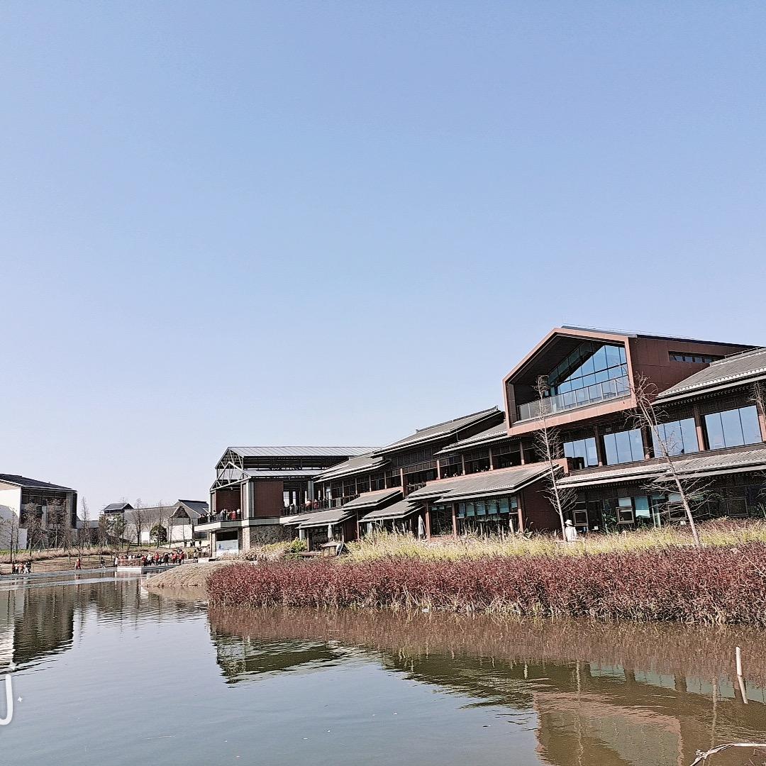 🇨🇳 小笨᭄猪꧔࿐ 🌼