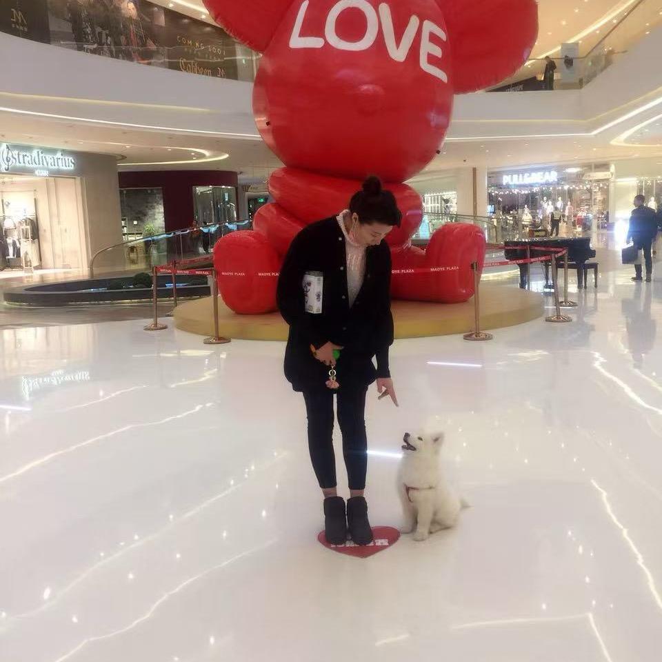 闲人杨（萌新）