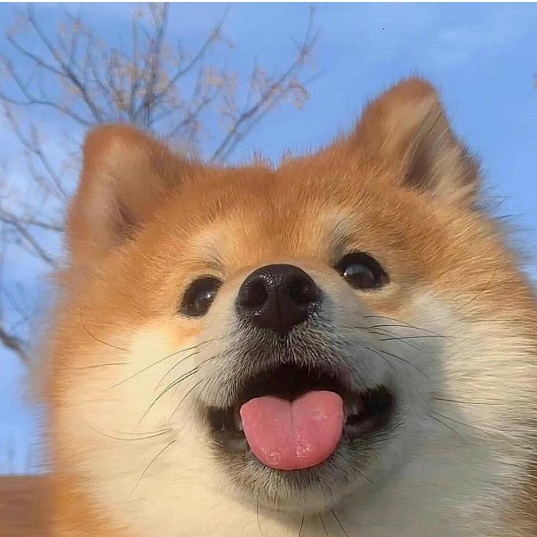 非冰冷（第五人格）