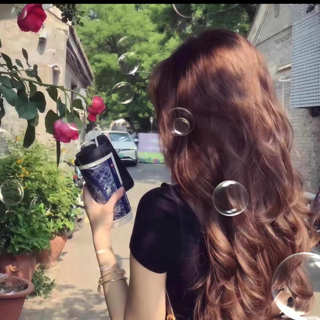 枫叶🍁枫叶🍁枫叶🍁