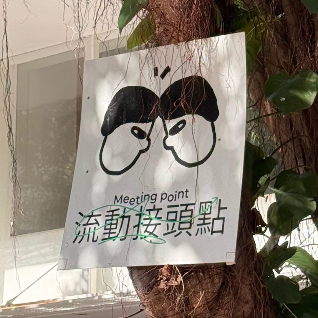 小飞象带你玩