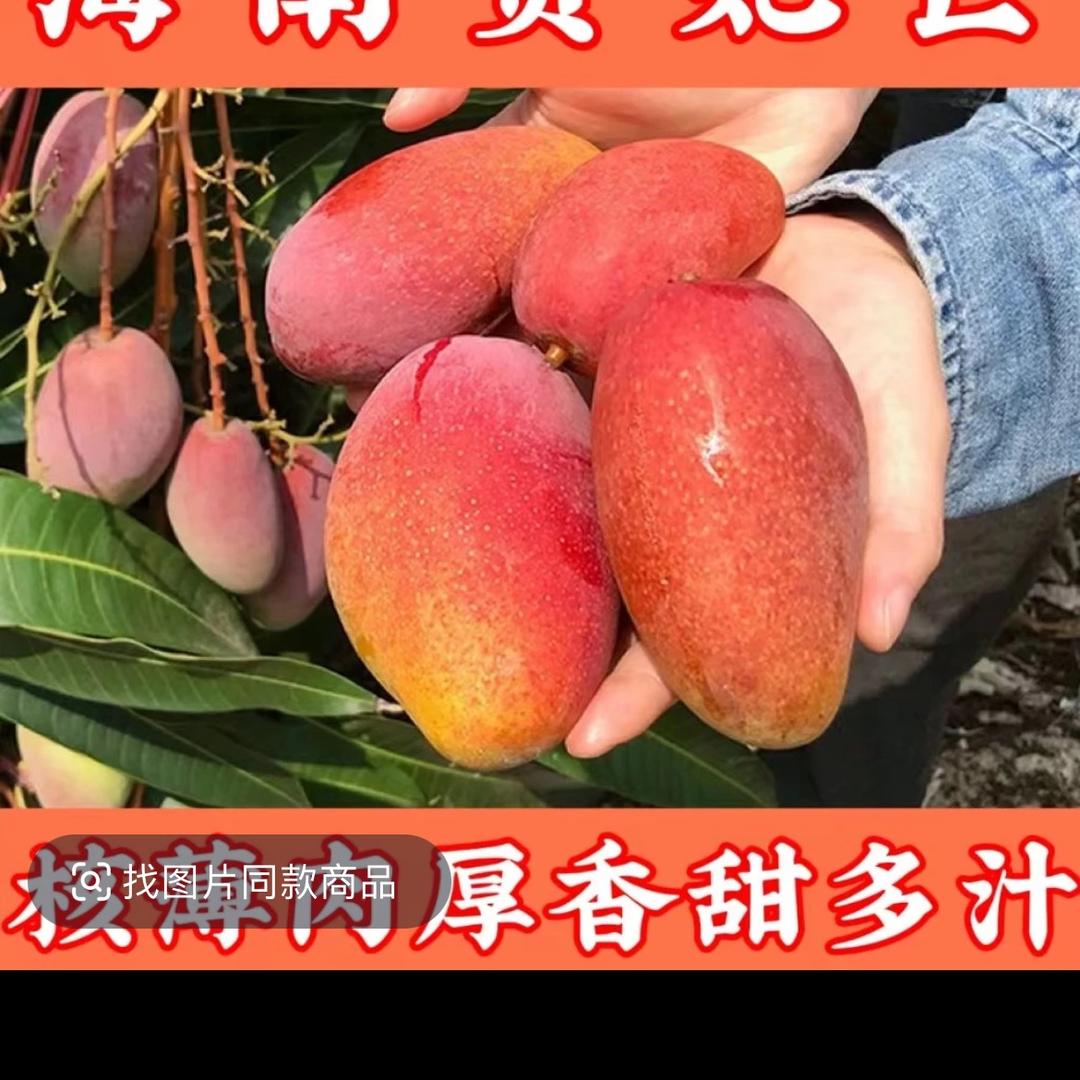 助力乡村三农_芒果