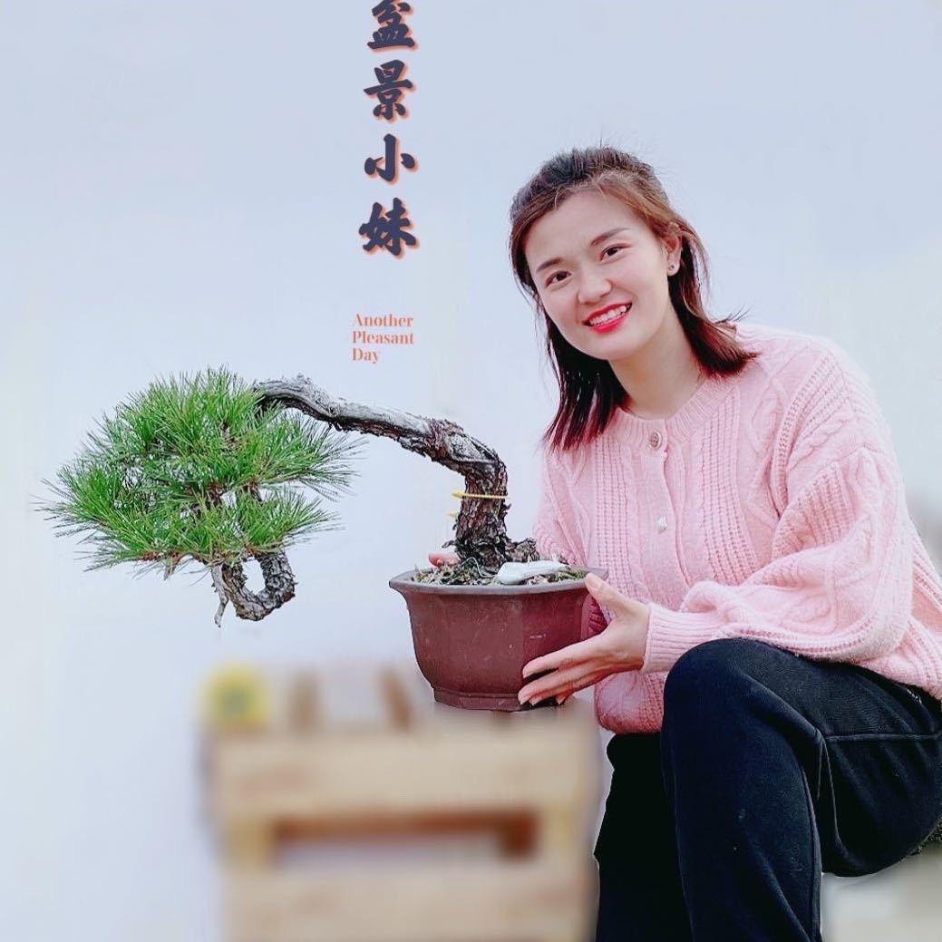 小妹家盆景