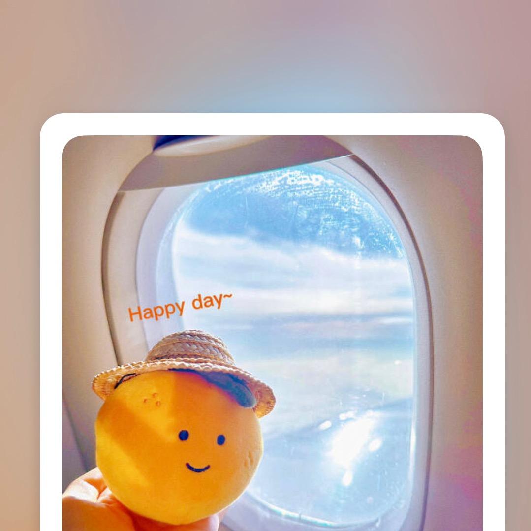 小橙子游记🍊