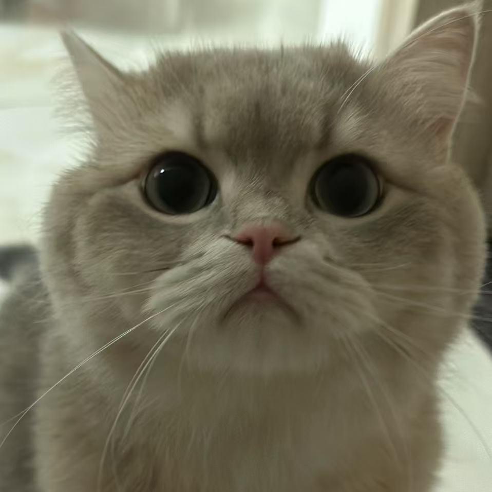 小也
