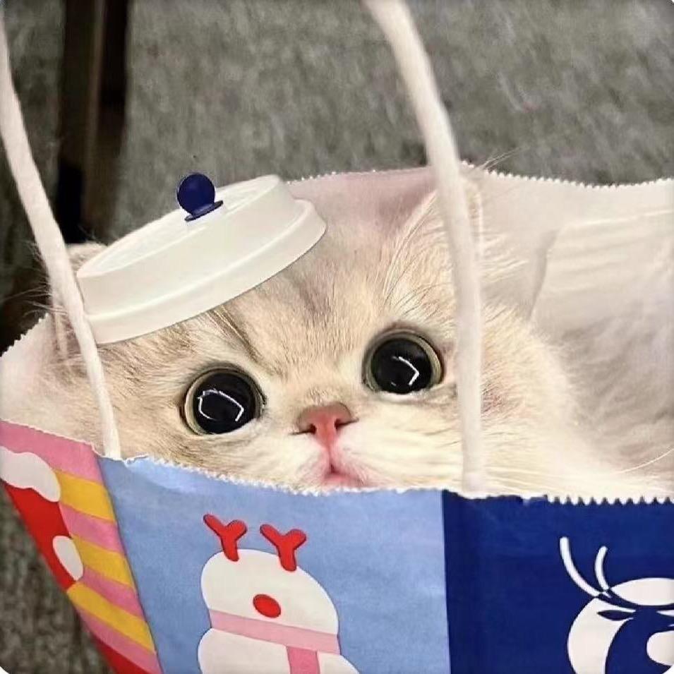 9506