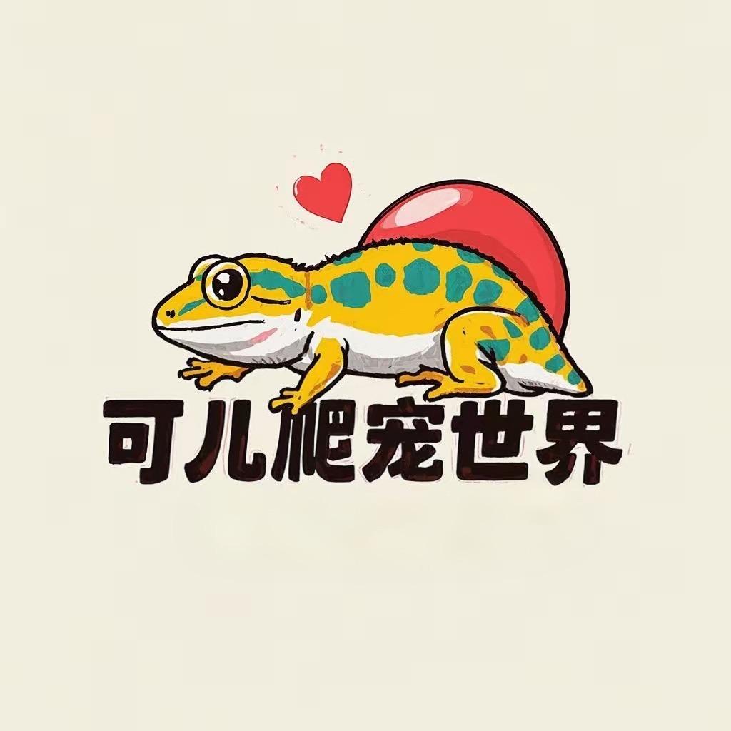 爬宠世界