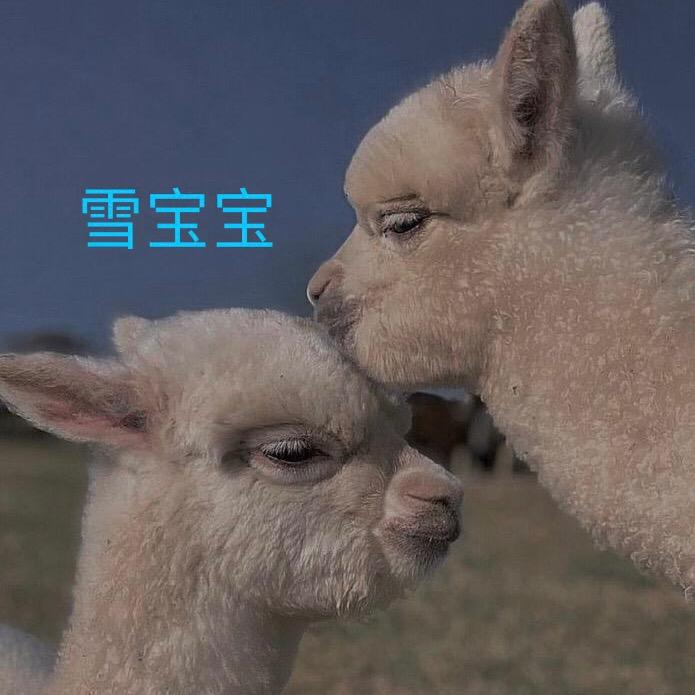 桃泥私服