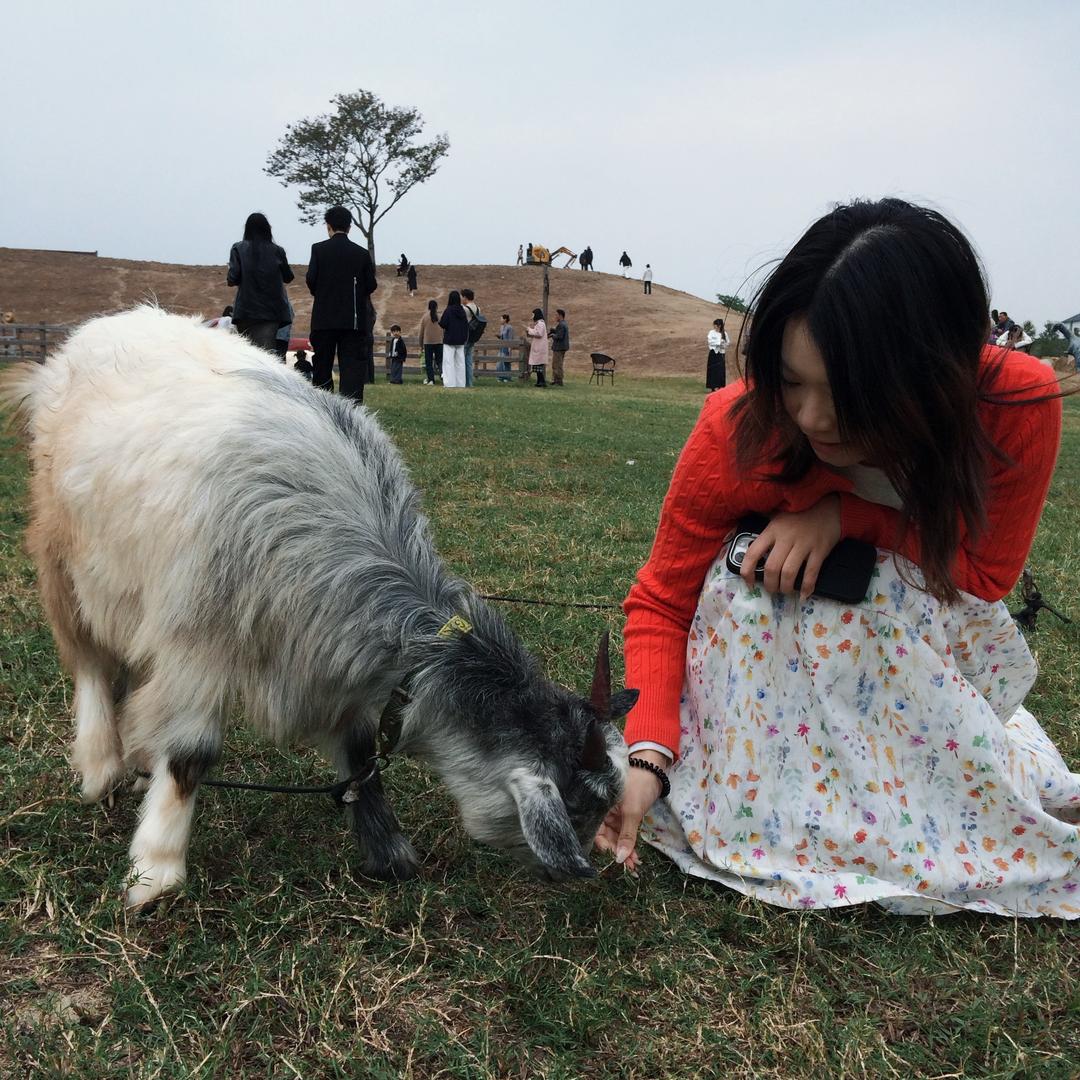 麦麦聊定制（乐迈石晶）