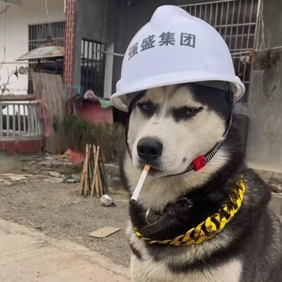 烤菜头