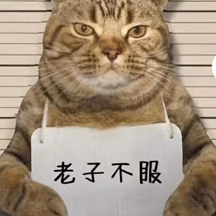 开鬼火的摩的小子