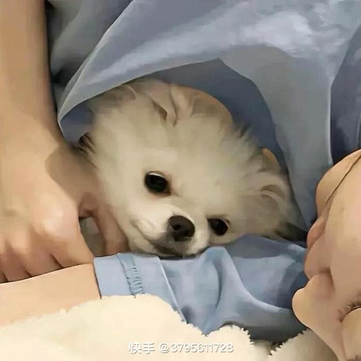 咸鸭蛋001