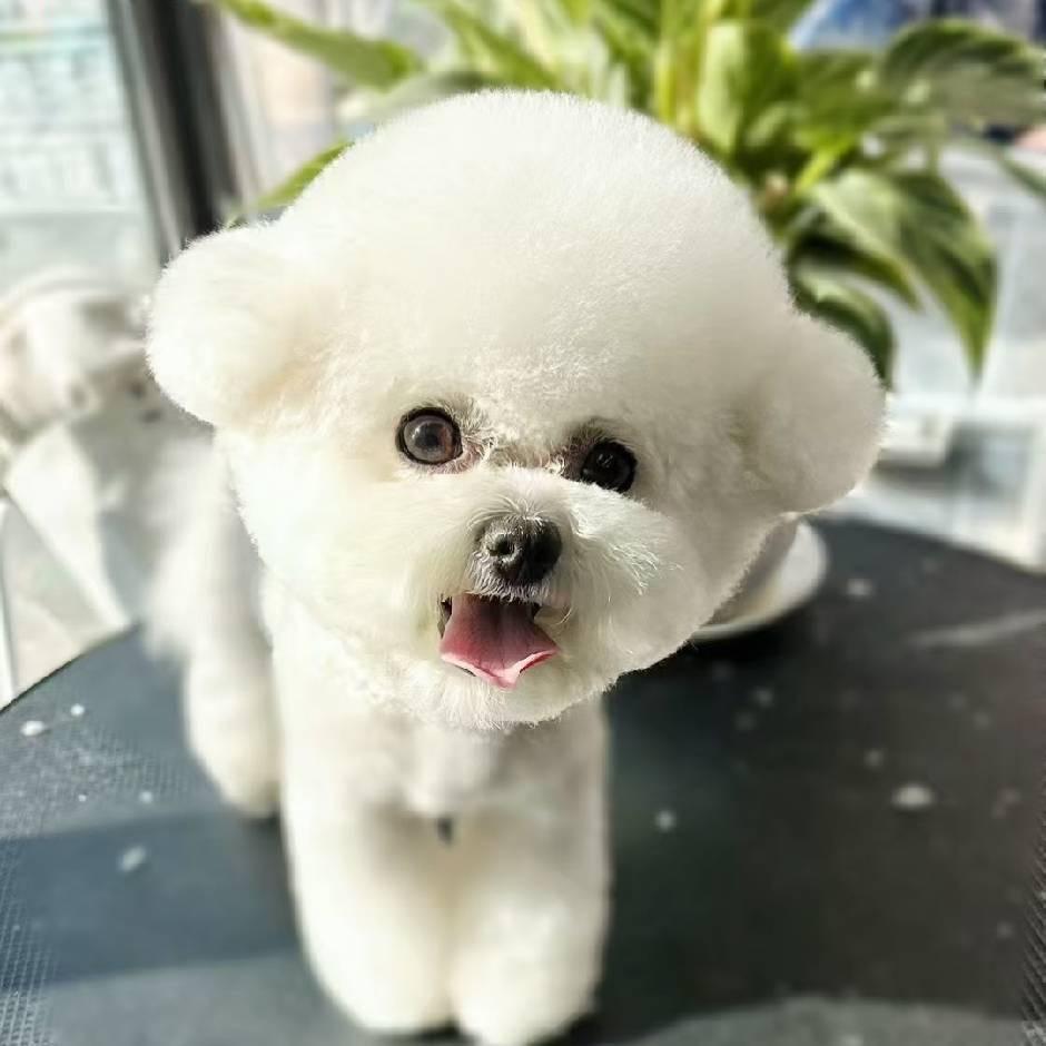 喜猫喜狗宠物生活馆