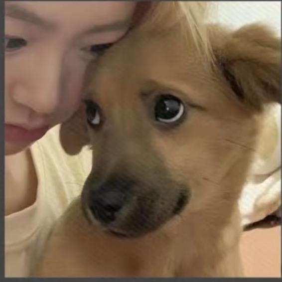 姜汪汪🐕