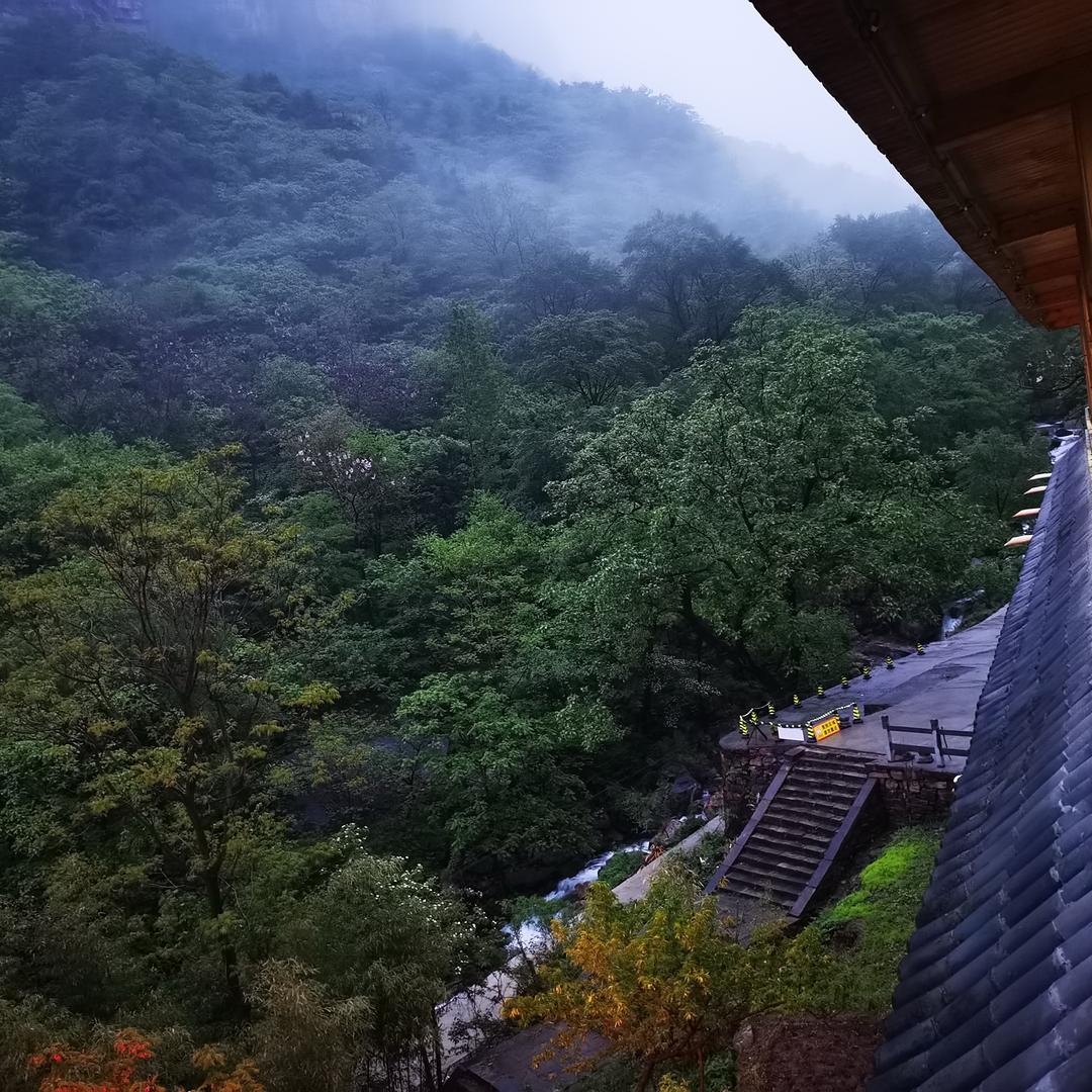 塔吊机吊吊吊