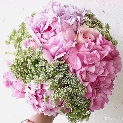 玲儿响叮当💐