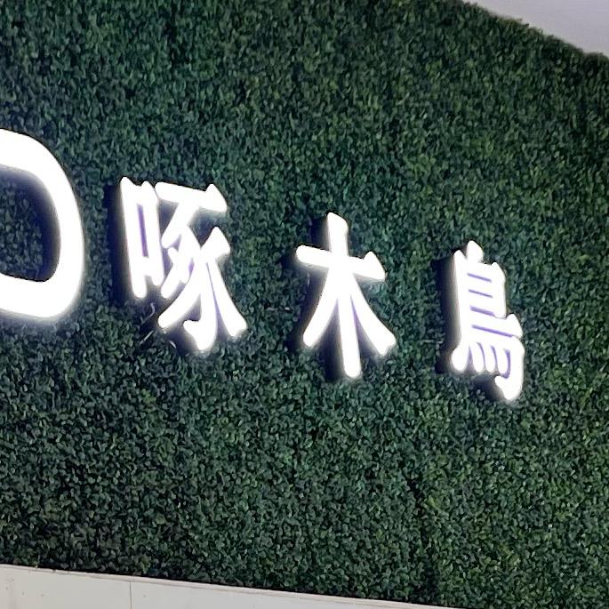 啄木鸟(大朗镇长盛店)米格